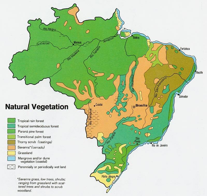 brezilya dogal bitki ortusu haritasi 1977