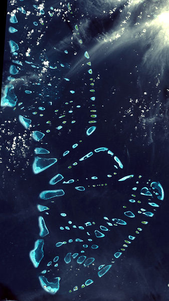 maldivler uydu haritasi