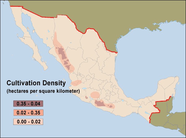 meksika esrar ekimi haritasi 2001