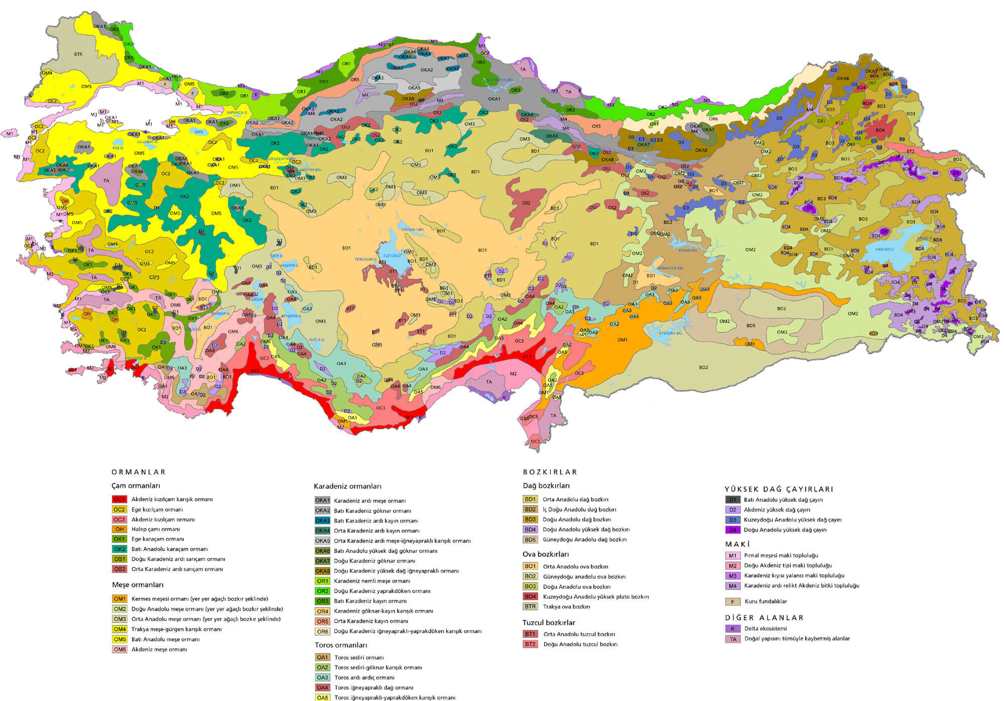turkiye bitki haritasi