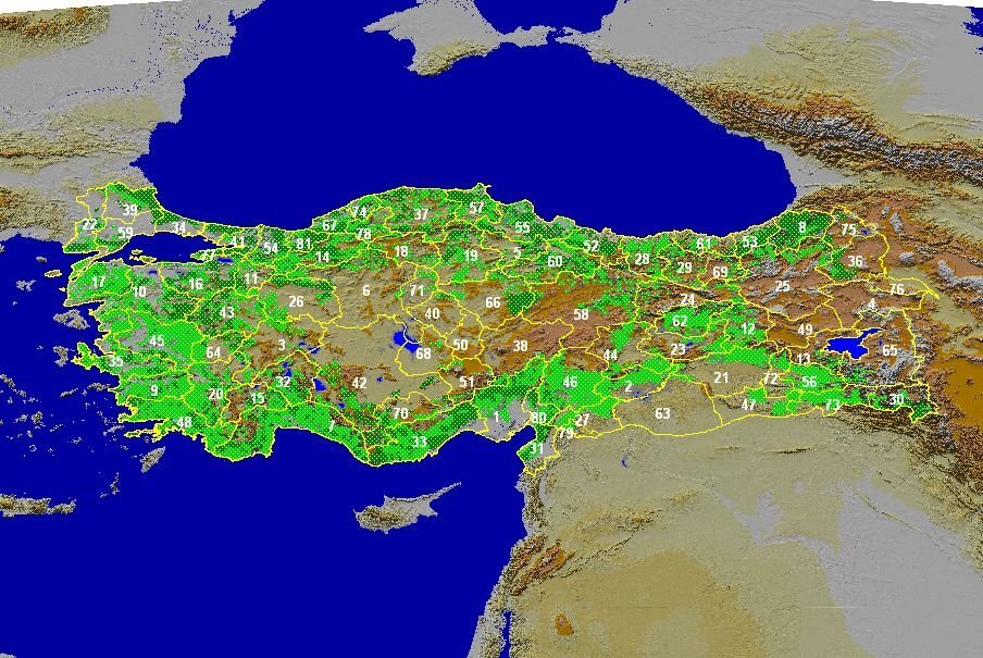 turkiye orman haritasi