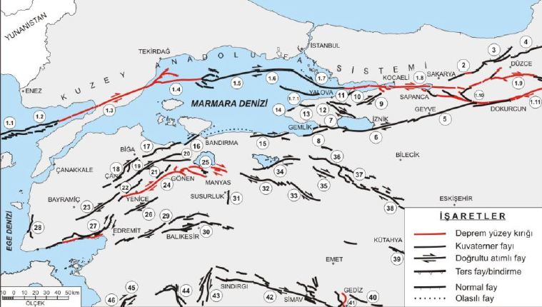 izmit maramara fay haritası