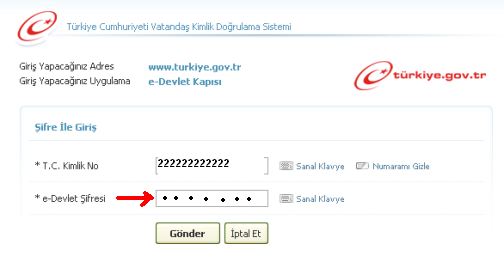 eDevlet Şifresi