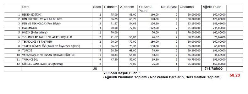 e Okul Yıl Sonu Başarı Puanı