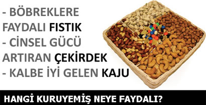 Kuruyemiş Faydaları