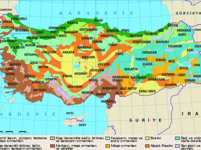 Türkiye Bitki Haritası