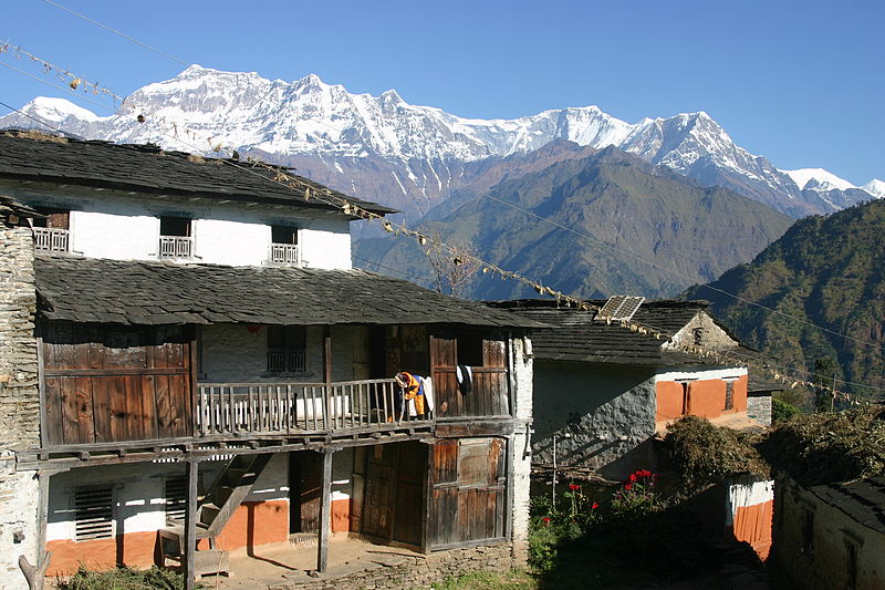 Makaoley Evi Nepal